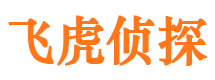 玄武侦探公司